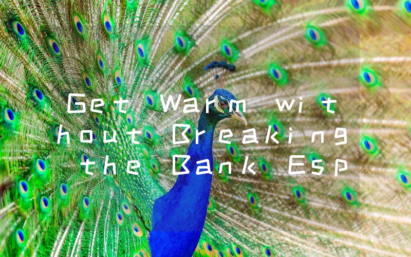 Get Warm without Breaking the Bank Espar Heater Prices Revealed