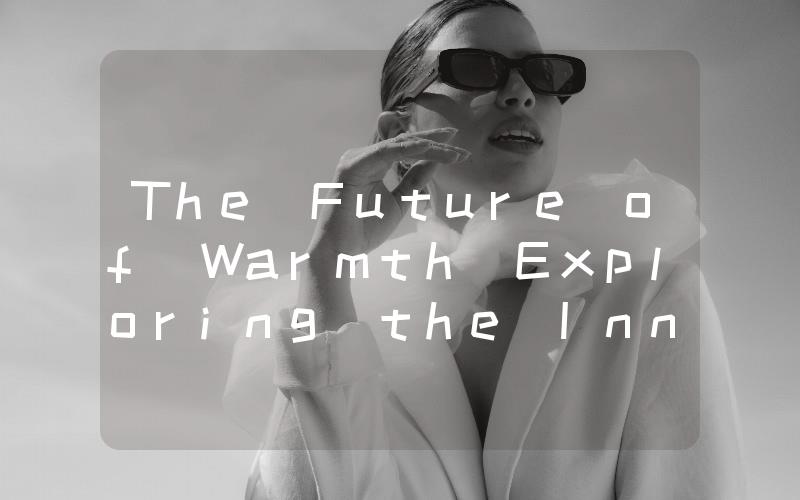 The Future of Warmth Exploring the Innovative Electric Car Heating System