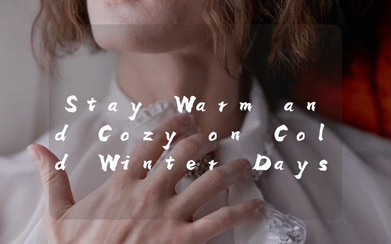 Stay Warm and Cozy on Cold Winter Days with a VW Parking Heater