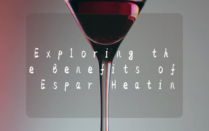 Exploring the Benefits of Espar Heating Systems for Your Home or Business