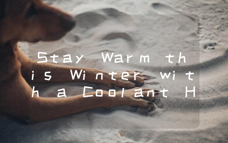 Stay Warm this Winter with a Coolant Heater The Must-Have Accessory for Your Vehicle