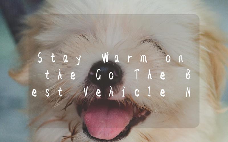 Stay Warm on the Go The Best Vehicle Night Heaters for Cold Nights
