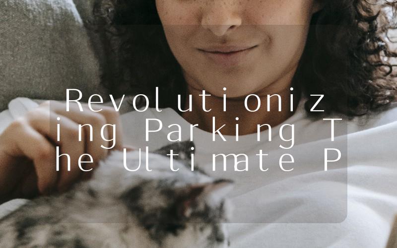 Revolutionizing Parking The Ultimate Parking Device for Effortless Parking