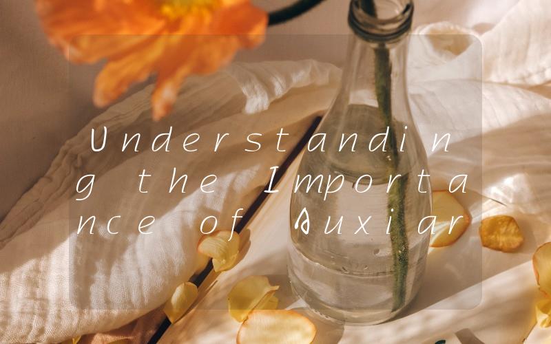 Understanding the Importance of Auxiary Heat in Keeping Your Home Warm and Cozy