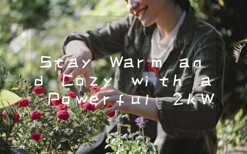 Stay Warm and Cozy with a Powerful 2kW Air Heater The Ultimate Heating Solution