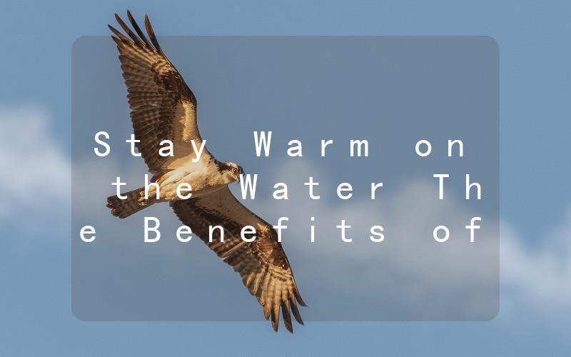 Stay Warm on the Water The Benefits of a Marine Diesel Heater
