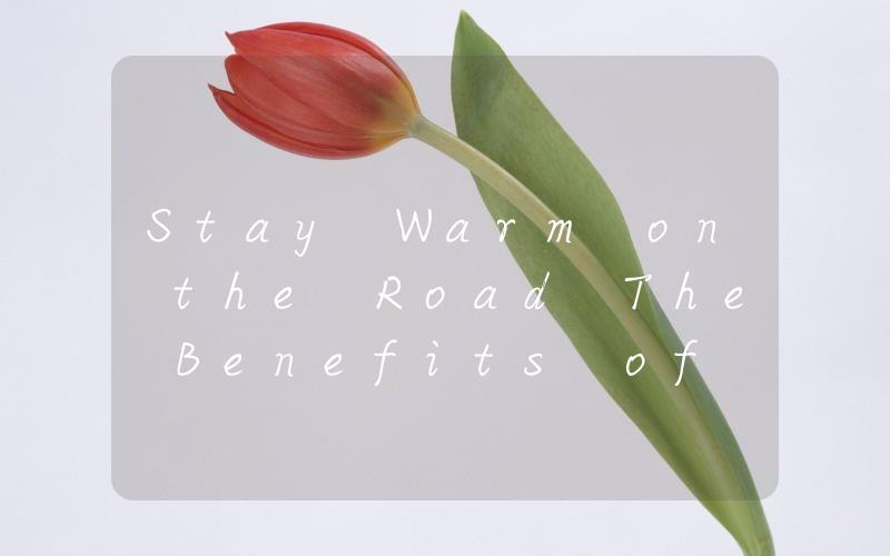 Stay Warm on the Road The Benefits of a Lorry Night Heater