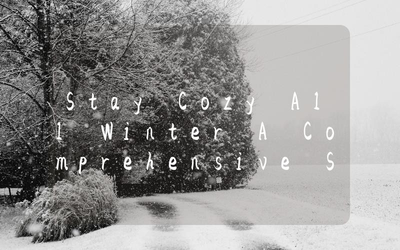 Stay Cozy All Winter A Comprehensive Snugger Heater Review