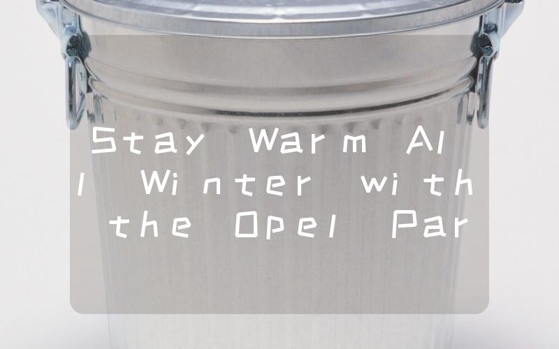 Stay Warm All Winter with the Opel Parking Heater Your Solution to Cold Car Starts