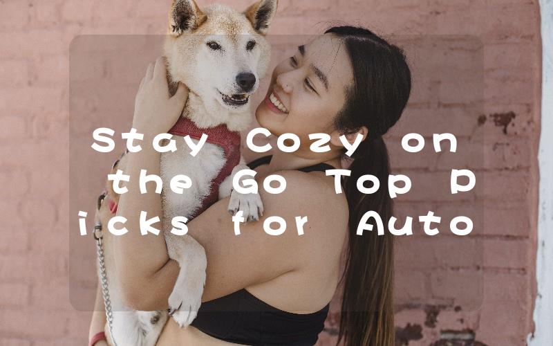 Stay Cozy on the Go Top Picks for Auto Heaters