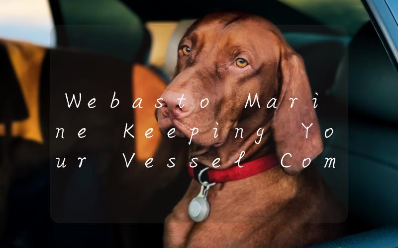 Webasto Marine Keeping Your Vessel Comfortable and Efficient on the Water
