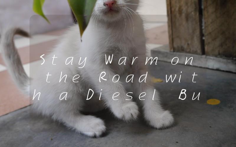 Stay Warm on the Road with a Diesel Bunk Heater The Ultimate Solution for Comfortable Winter Travel