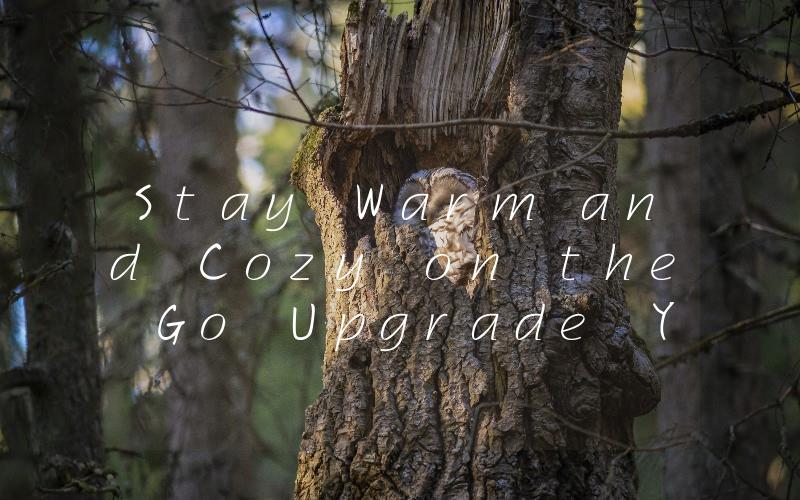 Stay Warm and Cozy on the Go Upgrade Your Cars Interior with a Remote Control Heater
