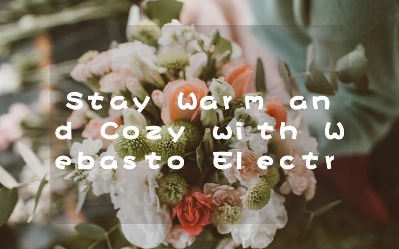 Stay Warm and Cozy with Webasto Electric Heater for Your Home or Office