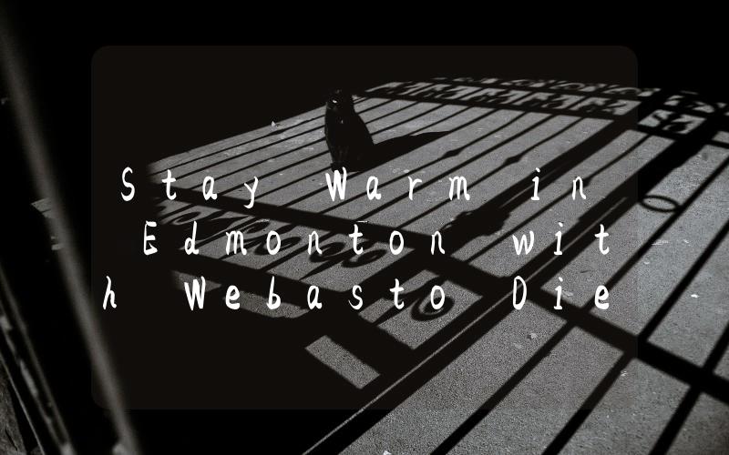 Stay Warm in Edmonton with Webasto Diesel Heater The Ultimate Solution for Your Winter Needs!