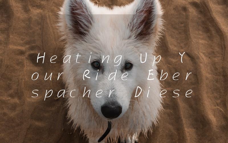 Heating Up Your Ride Eberspacher Diesel Heater Installation Guide