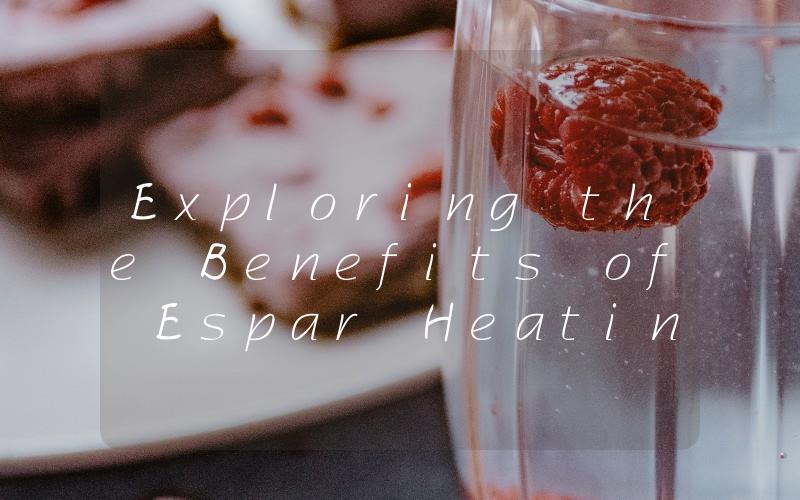 Exploring the Benefits of Espar Heating Systems for Your Vehicle or RV