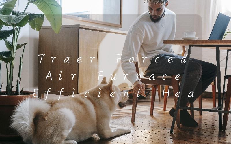 Traer Forced Air Furnace Efficient Heating for Your Home