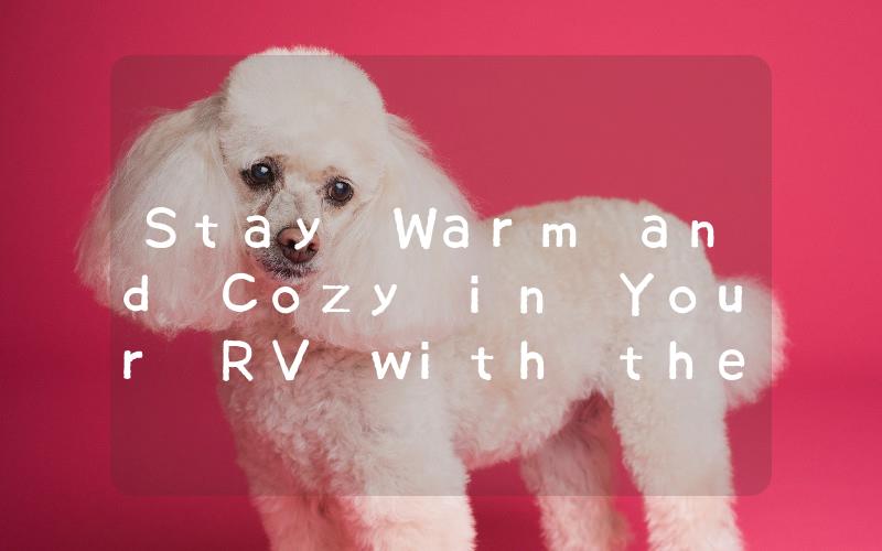 Stay Warm and Cozy in Your RV with the Best Space Heater for Your Space!