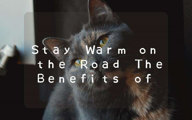 Stay Warm on the Road The Benefits of a Petrol Car Heater