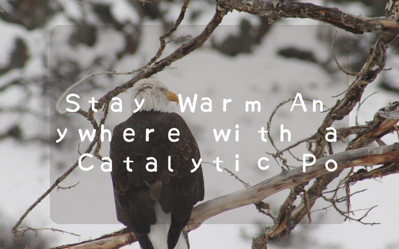 Stay Warm Anywhere with a Catalytic Portable Gas Heater