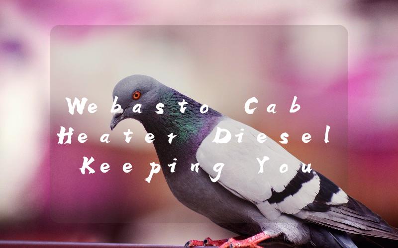 Webasto Cab Heater Diesel Keeping You Warm and Cozy on the Road