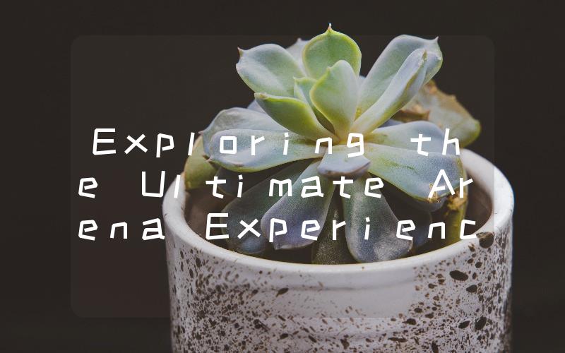 Exploring the Ultimate Arena Experience with American Airlines A Journey to Unforgettable Entertainment