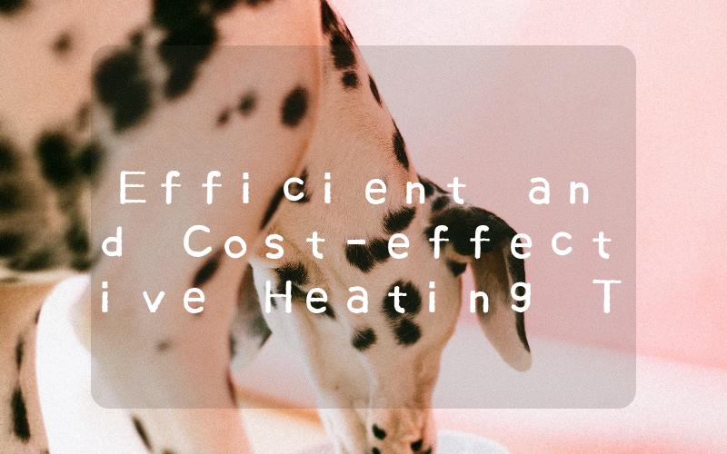 Efficient and Cost-effective Heating The Benefits of a Hot Water Air Heater