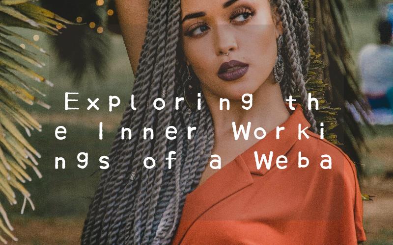Exploring the Inner Workings of a Webasto Heater A Comprehensive Guide