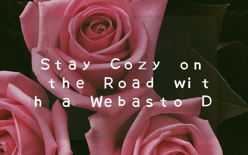 Stay Cozy on the Road with a Webasto Diesel Heater for Your RV