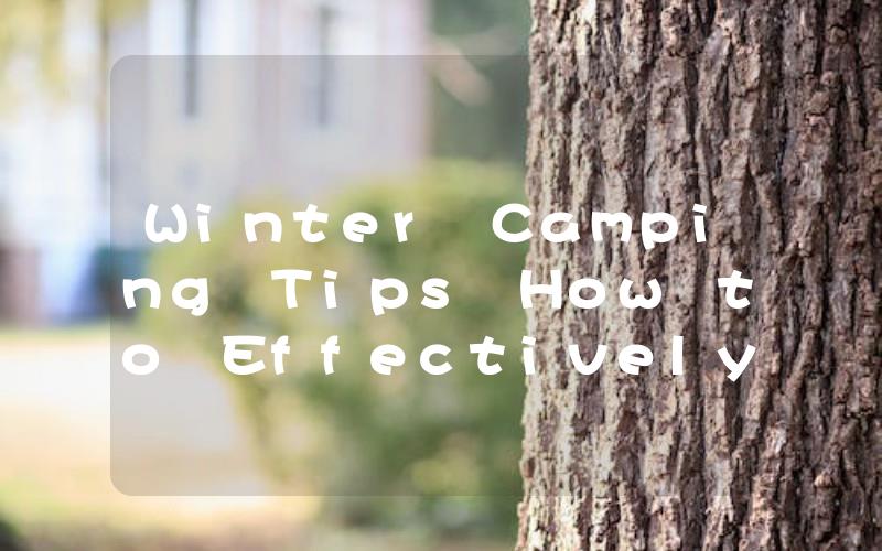 Winter Camping Tips How to Effectively Heat Your Camper