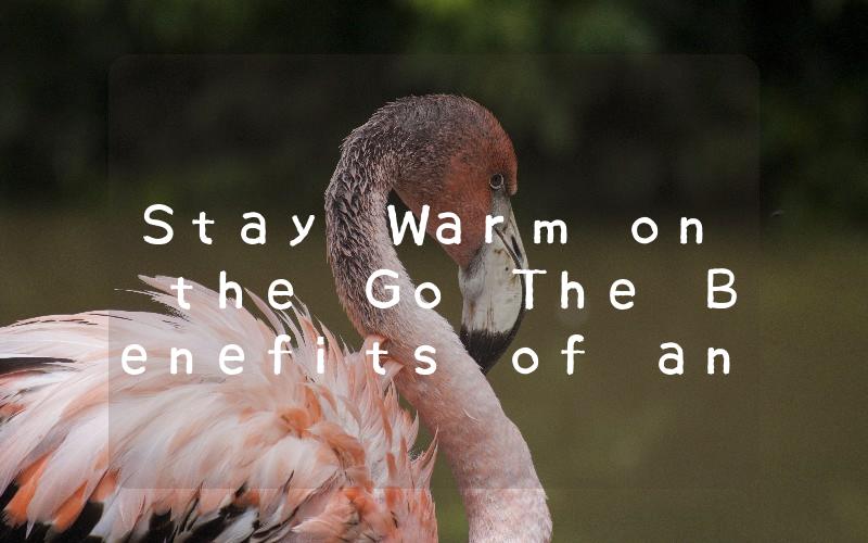 Stay Warm on the Go The Benefits of an Auxiary Car Heater