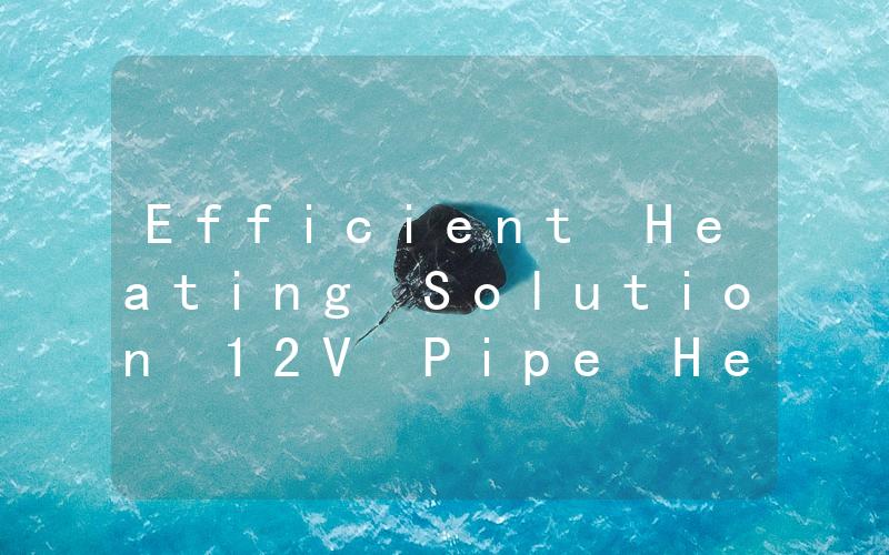 Efficient Heating Solution 12V Pipe Heater for Winter Protection