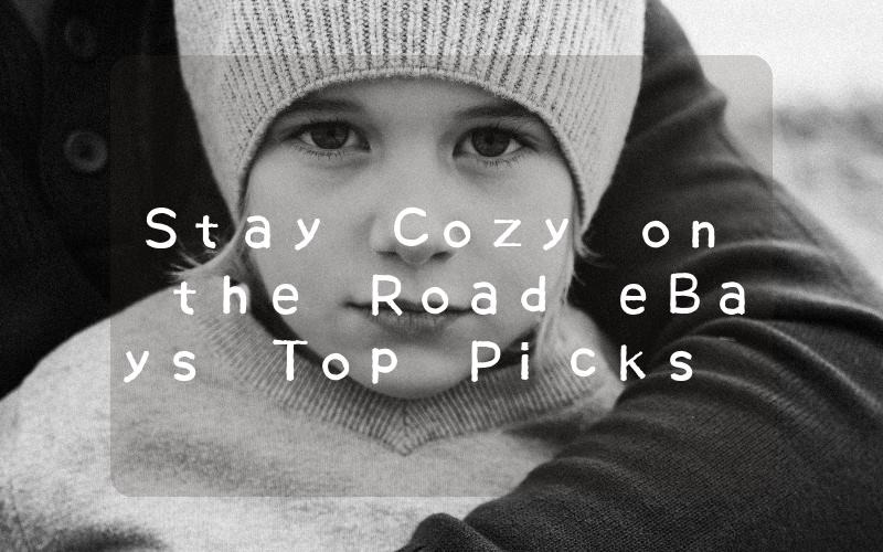Stay Cozy on the Road eBays Top Picks for Webasto Diesel Heaters