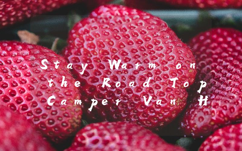 Stay Warm on the Road Top Camper Van Heaters to Keep You Cozy