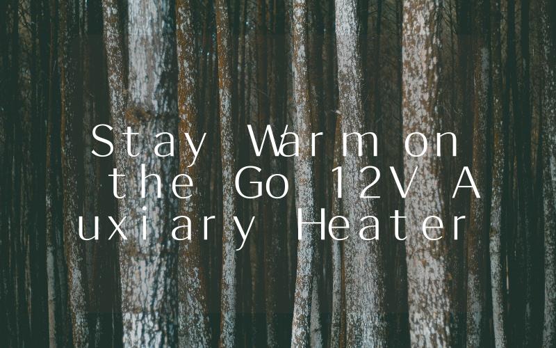 Stay Warm on the Go 12V Auxiary Heater for Your Vehicle