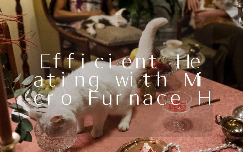 Efficient Heating with Micro Furnace Heater The Perfect Solution for Small Spaces