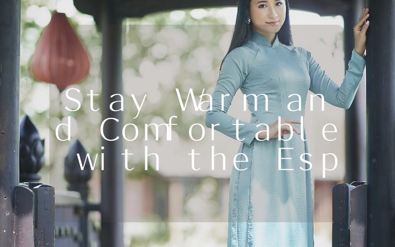 Stay Warm and Comfortable with the Espar Airtronic D2 Heater