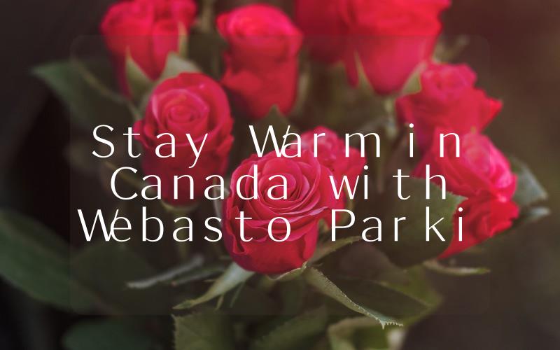 Stay Warm in Canada with Webasto Parking Heaters The Ultimate Solution for Cold Winter Nights!